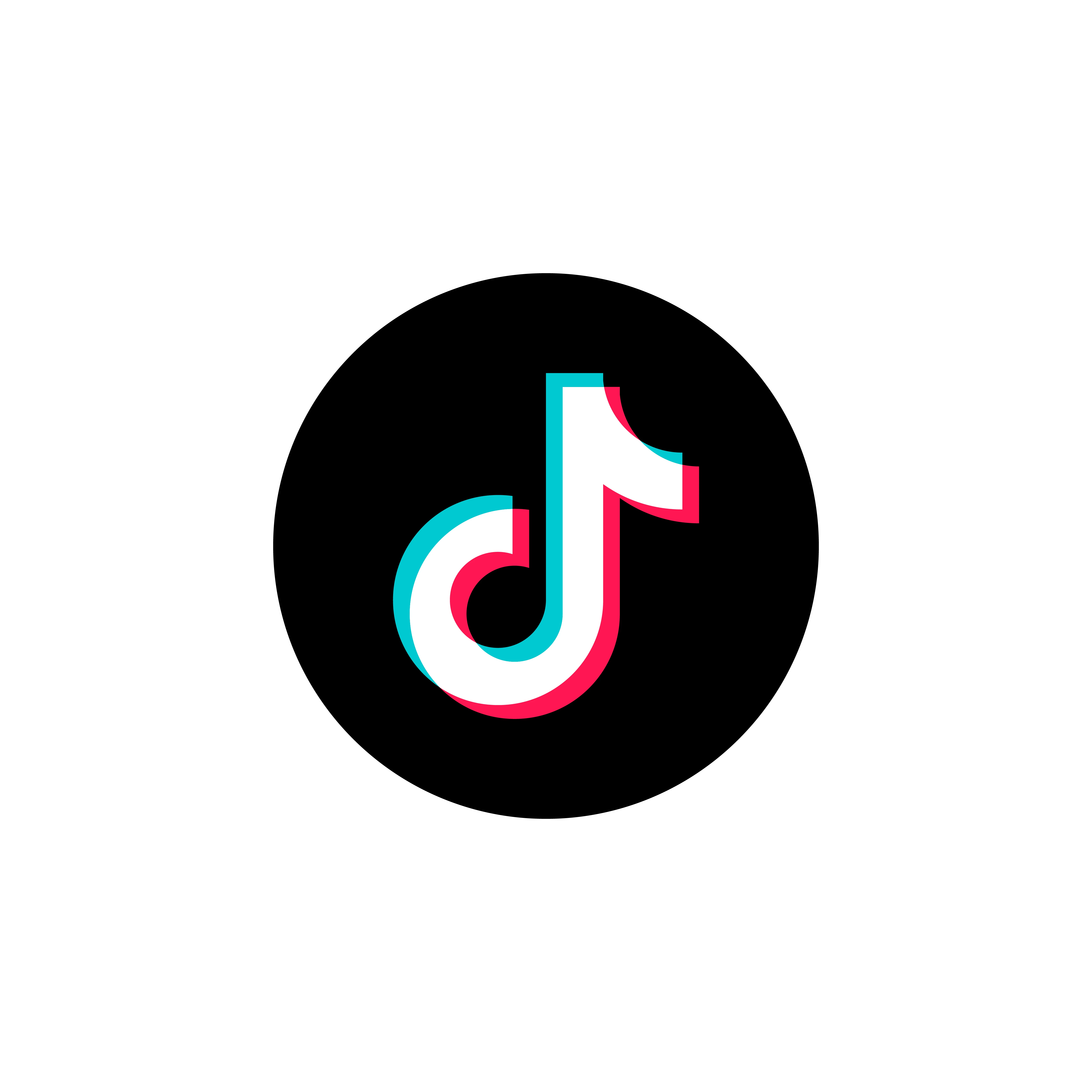 tik-tok-logo-png.webp